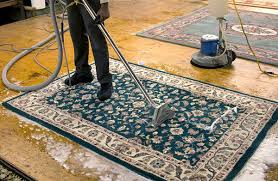 carpet cleaning potts point